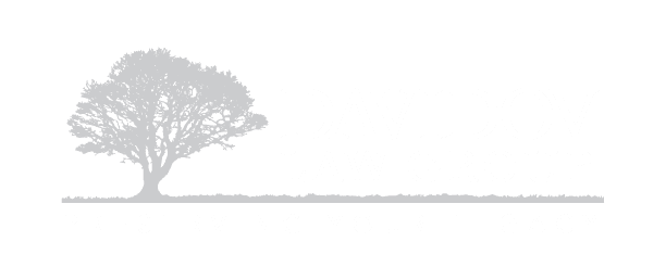 Davidov Law Group